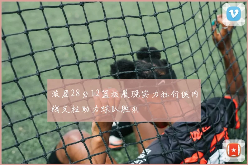 浓眉28分12篮板展现实力独行侠内线支柱助力球队胜利
